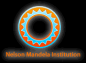 Nelson Mandela Institute logo
